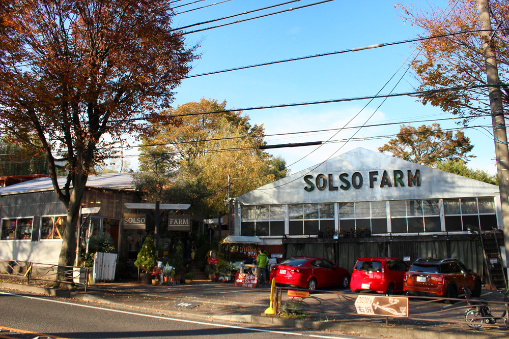 まるでハワイにいるかのように 心地よい農園 Solso Farm ソルソファーム Daily Standard