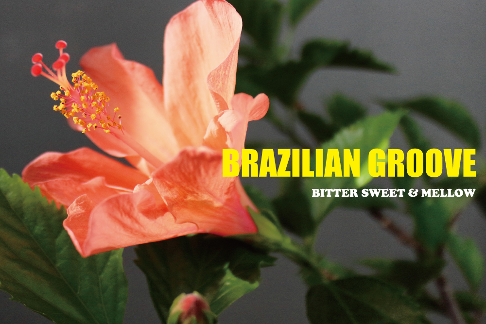 ソウル、ファンク、ディスコ好きなら聴くべきメロウなブラジリアン・グルーヴ15曲。BITTER SWEET ＆ MELLOW : Brazilian Groove【プレイリスト】