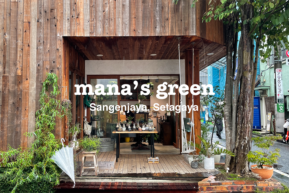 三軒茶屋の路地に佇む多肉植物専門店「mana’s green」
